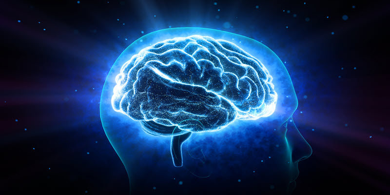 Digital illustration of a human head in profile with a glowing, blue brain visible, representing concepts of neuroscience or brain activity.