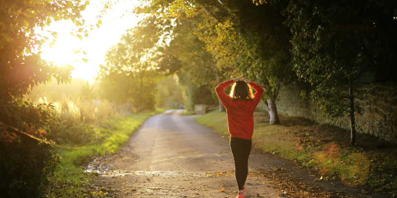Person in a red jacket walks down a tree-lined path at sunrise or sunset, with sunlight streaming through the trees.