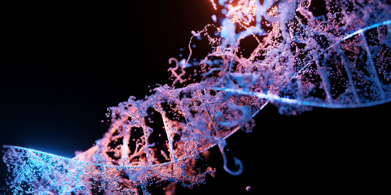 A digital rendering of a DNA double helix structure with glowing blue and pink highlights against a dark background.