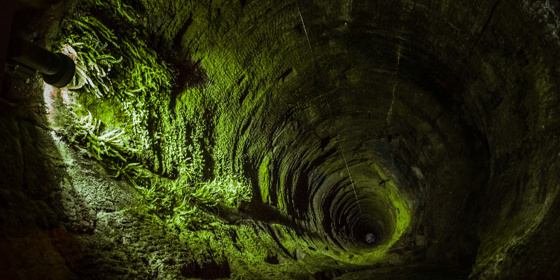 View looking down an old, moss-covered stone well with light illuminating the green interior walls.