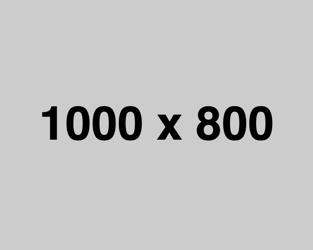 A grey rectangle displays the text "1000 x 800" in large black font, indicating the image dimensions in pixels.